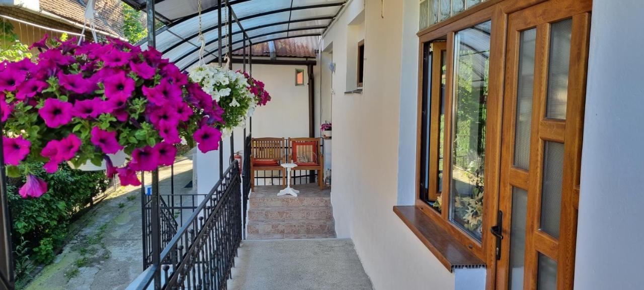 Citadel Rooms Kaloşvar Dış mekan fotoğraf